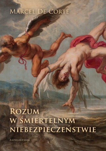 Rozum w śmiertelnym niebezpieczeństwie - przód.jpg